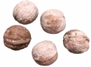Vlašské orechy farbené 5ks - pastelové ružové