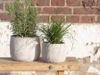 Béžový kameninový kvetináč Clayre & Eef Ø 14 cm s botanickým motívom