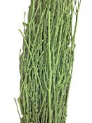 Sušené brezové vetvičky - konáriky 200 g - olivové 