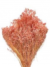 Sušený Broom Bloom lososovo ružový 100 g | Jemný sušený kvet na aranžovanie