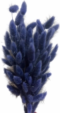 Sušené kvety Lagurus chvostíky – modré, 50 g (sušené dekoratívne trávy)