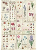 Ryžový papier A3 - Botanic Herbarium