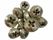 Eukalyptové plody farbené 10 ks - platinovo zlaté