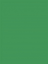 Filc jemný 1 mm A4 - trávový zelený