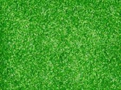 Samolepiaca glitrová machová guma - zelená