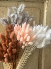 Lagurus mix 4 farieb – kvalitné sušené chvostíky z Holandska, 40 ks, 40 cm