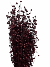 Sušené kvety ľan – červené víno / marsala, 100 g