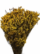 Stabilizovaná limonka žltá 120 g – sušená dekoratívna rastlina, 50 cm