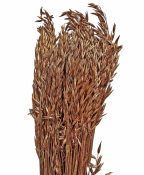 Sušený ovos – metalický medený, veľký zväzok 250 g, 60 cm