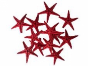 Mini morské hviezdice 10 ks - červené