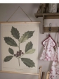 Závesný obraz „American Holly“ 80×100 cm – botanický motív, Clayre & Eef