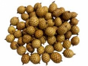 Sušené palmové guličky mini 20g - natur