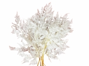 Stabilizované bielené papradie – 1 vetvička