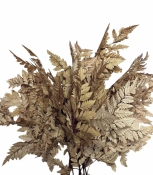 Stabilizované papradie – cappuccino, jemná béžová, 1 kus