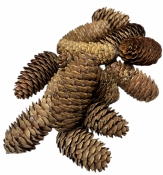 Prírodná dlhá šiška 8 cm – nefarbená 