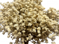 Stabilizovaná gypsophila krémová – zväzok 15 gramov