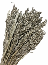 Stabilizovaná ozdobná tráva – platinová (biele zlato), 60 cm, 250 g