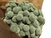 Sušené kvety Botao Forest Green – zväzok 50 g (cca 80 hlavičiek)