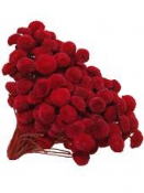 Sušené kvety guličky Bo - karmínové červené
