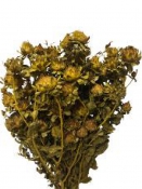 Sušené kvety - Šafrán 100g - horčicové