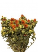 Sušené kvety - Šafrán 100g - natur nefarbené