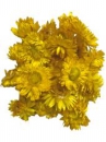 Sušené kvety slamienky 65g - žlté 
