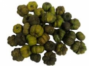 Sušený plod tekvička liliput - zelená