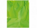 Aranžérske pierka hladké - 3g - neónové zelené