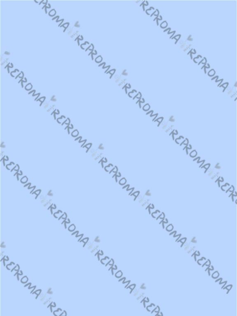 Filc 1 mm A4 - country modrý