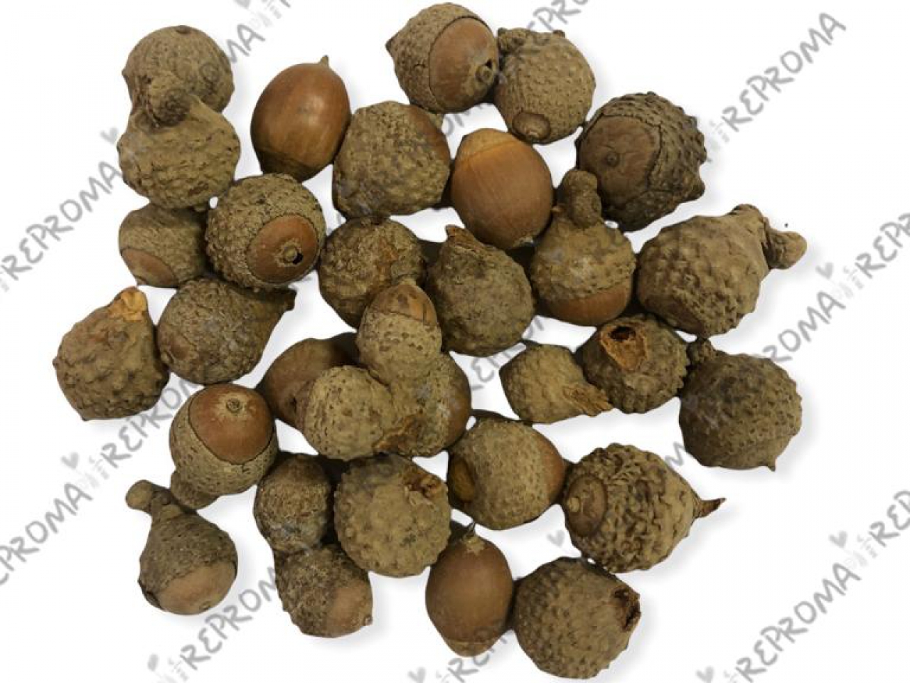 Sušené mini žalude 20g - natur