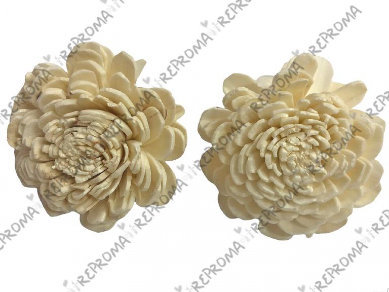 Kvet Ming 8 cm - biely