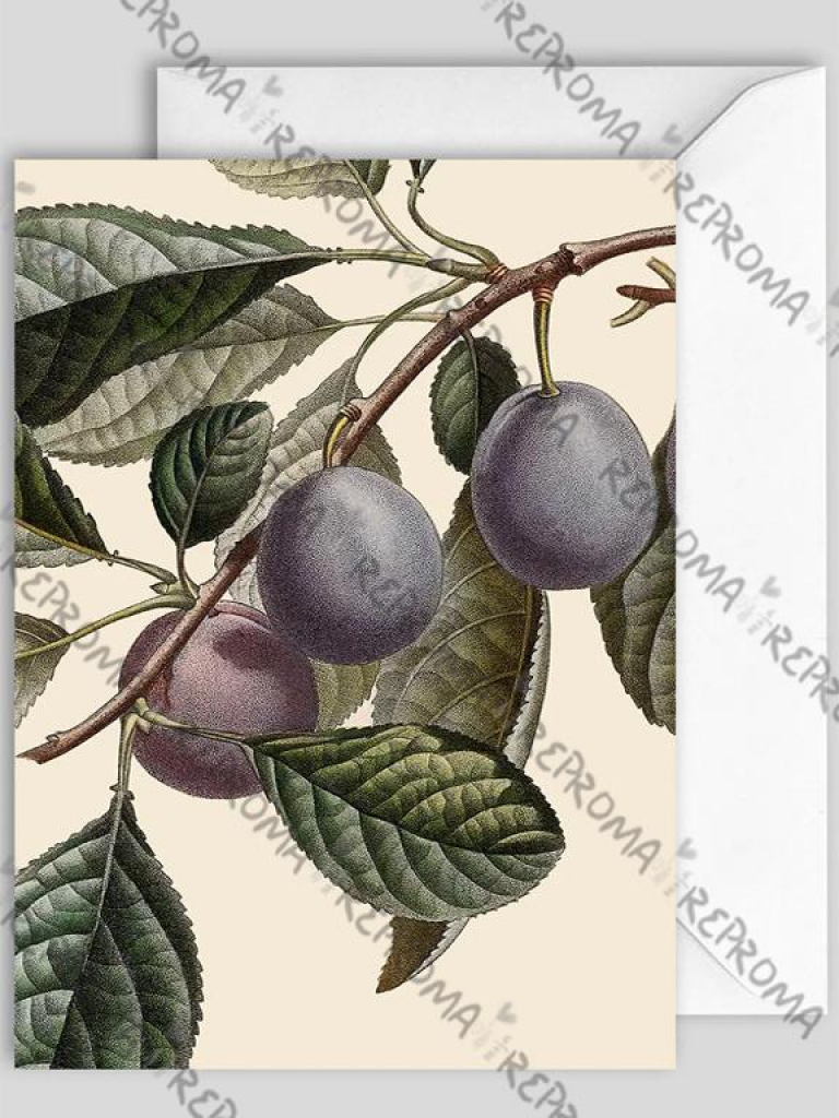 Umelecká pohľadnica 12x17 cm Plum